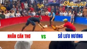 TRẬN 5 : NHÂN CẦN THƠ VS SỞ LƯU HƯƠNG