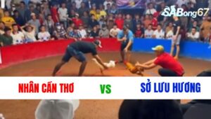 TRẬN 6 : NHÂN CẦN THƠ VS SỞ LƯU HƯƠNG