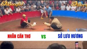 TRẬN 7 : NHÂN CẦN THƠ VS SỞ LƯU HƯƠNG