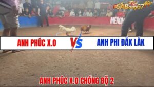 ANH PHÚC X.O VS ANH PHI ĐĂK LĂK