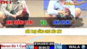 TRẬN 29 CPC1 14/1/2025