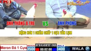 TRẬN 32 CPC1 14/1/2025