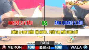 TRẬN 6 CPC3 6/1/2025