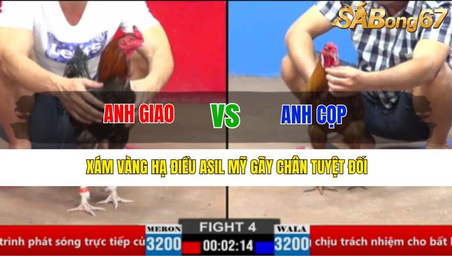 TRẬN 4 CPC2 26/3/2025 : ANH GIAO VS ANH CỌP