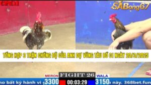 TỔNG HỢP 3 TRẬN CHỒNG ĐỘ