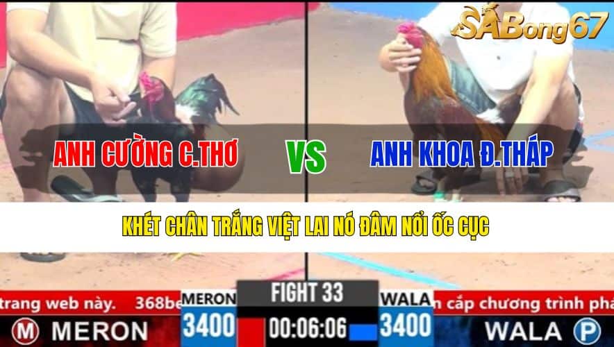 TRẬN 33 CPC3 27/3/2025