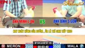 TRẬN 6 CPC1 22/3/2025
