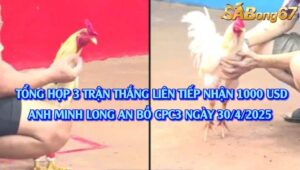 VIDEO 3 TRẬN THẮNG LIÊN TIẾP