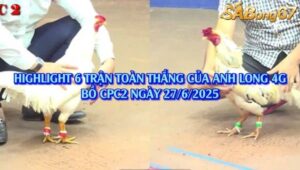 TỔNG HỢP 6 TRẬN TOÀN THẮNG