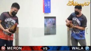 TRẬN 17 FG1 13/6/2025