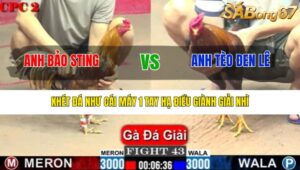 TRẬN 43 CPC2 1/6/2025