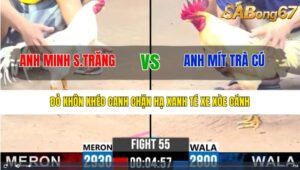 TRẬN 55 CPC3 17/12/2024