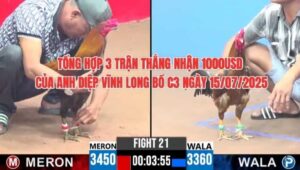 bồ C3 ngày 15/7/2025