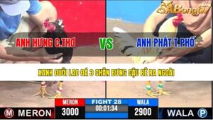 TRẬN 28 CPC3 6/7/2025