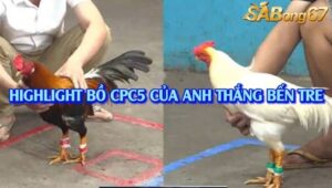 TỔNG HỢP 3 TRẬN THẮNG NHẬN 20 TRIỆU