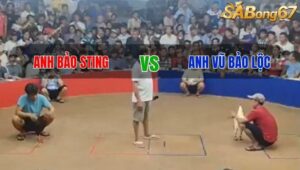 TRẬN 15 BỒ TONHON 13/8/2025