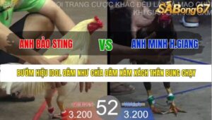 TRẬN 52 BỒ TONHON 27/8/2025
