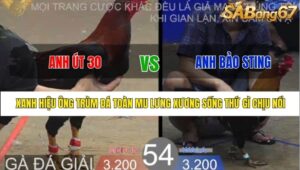 TRẬN 54 BỒ TONHON 27/8/2025