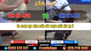 TRẬN 19 BỒ TONHON 12/9/2025