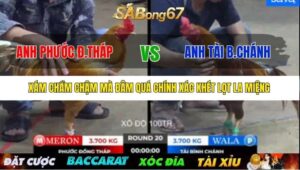 TRẬN 20 BỒ TONHON 12/9/2025