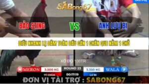 TRẬN 23 BỒ TONHON 12/9/2025