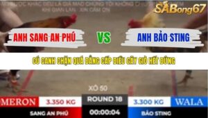 TRẬN 18 TONHON 18/10/2025