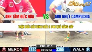 TRẬN 5 CPC3 18/10/2025