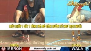 TRẬN 11 CPC4 NGÀY 30/10/2025