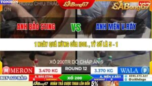 TRẬN 12 TONHON 10/10/2025