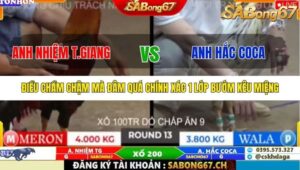 TRẬN 13 TONHON 10/10/2025