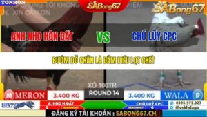 TRẬN 14 TONHON 10/10/2025