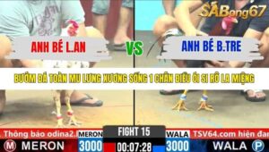 TRẬN 15 CPC6 28/10/2025