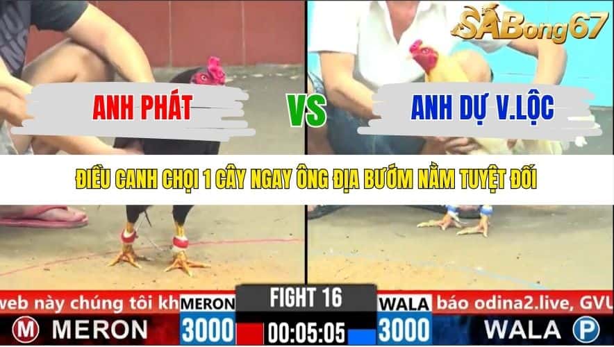 TRẬN 16 CPC6 25/10/2025
