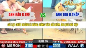 TRẬN 16 CPC6 31/10/2025