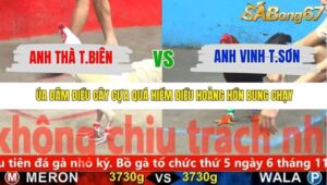 TRẬN 17 CPC5 28/10/2025