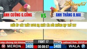 TRẬN 17 CPC6 31/10/2025