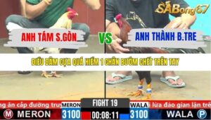 TRẬN 19 CPC6 27/10/2025