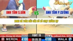 TRẬN 19 CPC6 30/10/2025