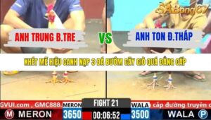 TRẬN 21 CPC6 29/10/2025