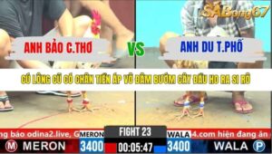 TRẬN 23 CPC6 29/10/2025