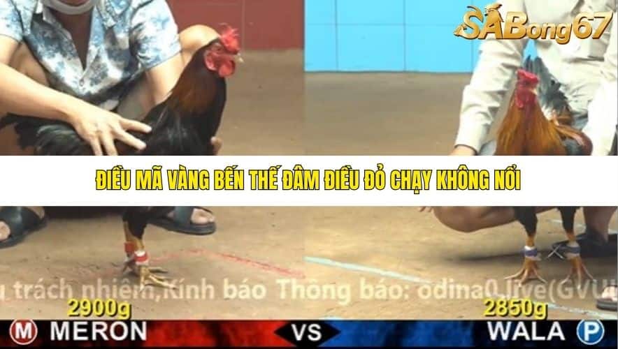 TRẬN 24 CPC4 24/10/2025