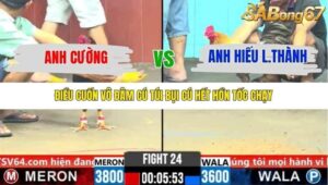 TRẬN 24 CPC6 31/10/2025