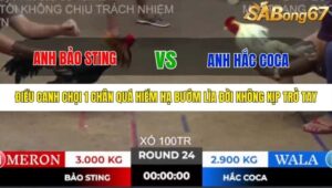 TRẬN 24 TONHON 10/10/2025