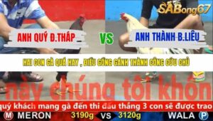 TRẬN 25 CPC5 28/10/2025