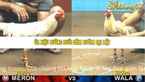 TRẬN 26 CPC4 NGÀY 31/10/2025