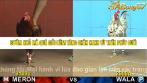 TRẬN 27 CPC4 NGÀY 30/10/2025