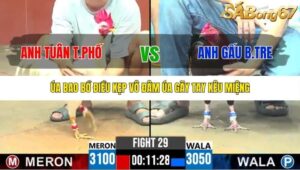 TRẬN 29 CPC6 10/10/2025