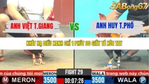 TRẬN 29 CPC6 29/10/2025