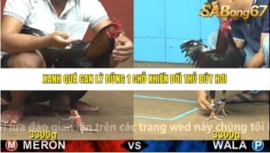 TRẬN 3 CPC4 28/10/2025