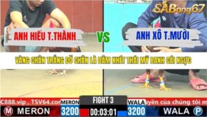 TRẬN 3 CPC6 28/10/2025